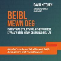 Book Cover for Beibl Mewn Deg by David Kitchen