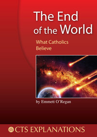 Book Cover for The End of the World by Emmett ORegan