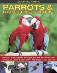 Book Cover for Parrots & Rainforest Birds by Tom Jackson