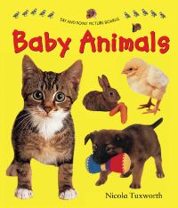 Book Cover for Baby Animals by Nicola Tuxworth