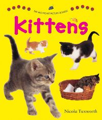 Book Cover for Kittens by Nicola Tuxworth