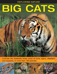 Book Cover for Big Cats by Rhonda Klevansky