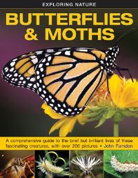 Book Cover for Butterflies and Moths by John Farndon