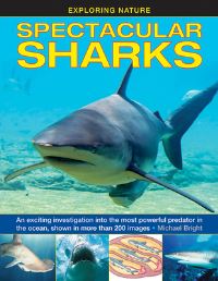 Book Cover for Spectacular Sharks by Michael Bright