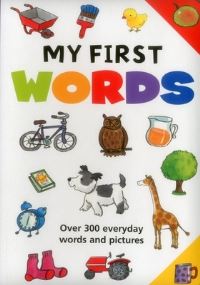 Book Cover for My First Words by Jan Lewis