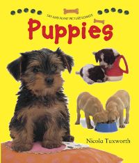 Book Cover for Puppies by Nicola Tuxworth