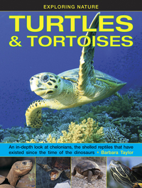 Book Cover for Turtles & Tortoises by Barbara Taylor