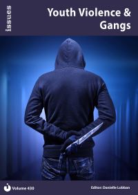 Book Cover for Youth Violence & Gangs by Danielle Lobban