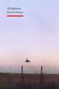 Book Cover for Airspaces by David Pascoe