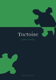 Book Cover for Tortoise by Peter Young
