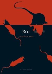 Book Cover for Rat by Jonathan Burt