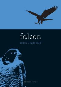 Book Cover for Falcon by Helen Macdonald