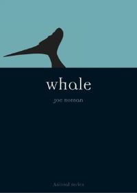 Book Cover for Whale by Joe Roman