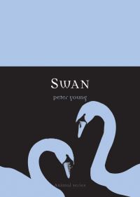 Book Cover for Swan by Peter Young
