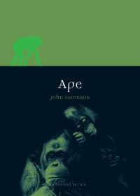 Book Cover for Ape by John Sorenson