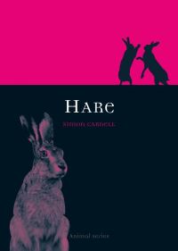 Book Cover for Hare by Simon Carnell
