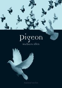 Book Cover for Pigeon by Barbara Allen