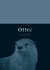 Book Cover for Otter by Daniel Allen