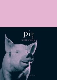 Book Cover for Pig by Brett Mizelle