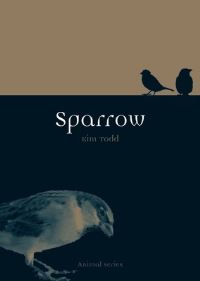Book Cover for Sparrow by Kim Todd