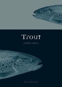 Book Cover for Trout by James Owen