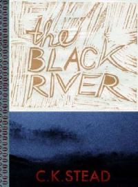 Book Cover for The Black River by CK Stead