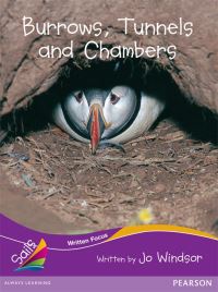 Book Cover for Sails Fluency Purple Set 2 by Jo Windsor