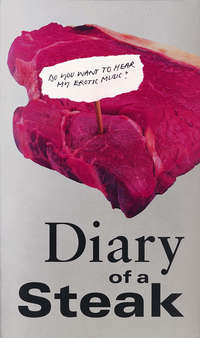 Book Cover for Diary of a Steak by Deborah Levy
