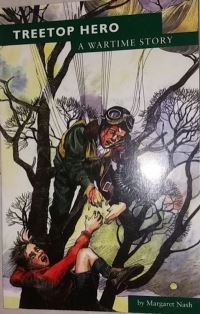 Book Cover for Treetop Hero by Margaret Nash, Gillian Marklew