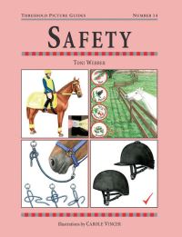 Book Cover for Safety by Toni Webber, Carole Vincer
