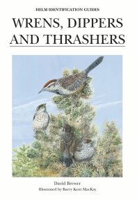 Book Cover for Wrens, Dippers and Thrashers by David Brewer, Barry Kent Mackay