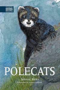 Book Cover for Polecats by Johnny Birks