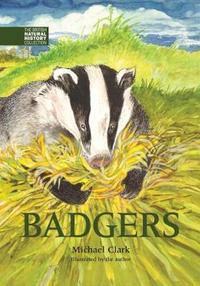 Book Cover for Badgers by Michael Clark