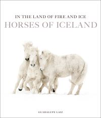 Book Cover for In the Land of Fire and Ice by Guadalupe Laiz