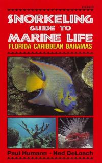 Book Cover for Snorkeling Guide to Marine Life by Paul Humann, Ned DeLoach