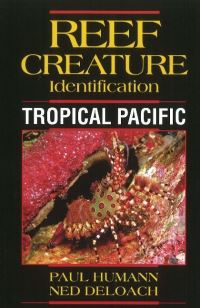 Book Cover for Reef Creature Identification by Paul Humann, Ned DeLoach