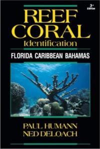 Book Cover for Reef Coral Identification by Paul Humann, Ned DeLoach