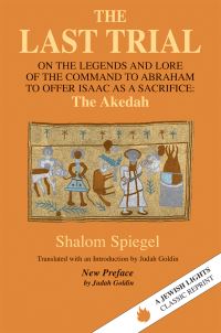 Book Cover for The Last Trial by Shalom Spiegel