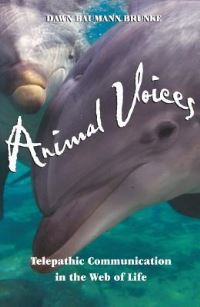 Book Cover for Animal Voices by Dawn Baumann Brunke
