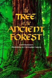 Book Cover for The Tree in the Ancient Forest by Carol ReedJones, Christopher Canyon