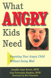 Book Cover for What Angry Kids Need by Jennifer Anne Brown, Pam Provonsha Hopkins