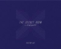 Book Cover for The Secret Room by Kazim Ali