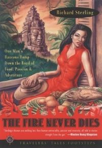 Book Cover for The Fire Never Dies by Richard Sterling