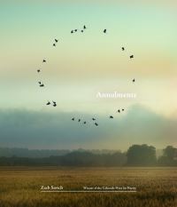 Book Cover for Annulments by Zach Savich