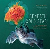 Book Cover for Beneath Cold Seas by David Hall