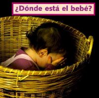 Book Cover for Donde Esta El Bebe? by Cheryl Christian