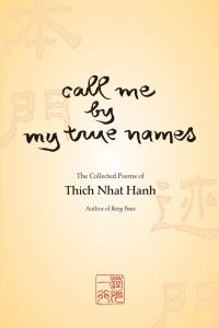 Book Cover for Call Me by My True Names by Nha¦Ôét Hanh
