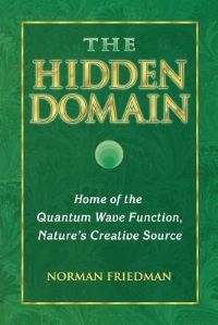 Book Cover for The Hidden Domain by Norman Friedman