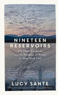 Book Cover for Nineteen Reservoirs by Lucy Sante