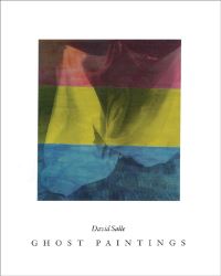 Book Cover for David Salle by David Salle, Karen Marta, Janine Mileaf, Hal Foster